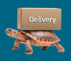 Delivery Info