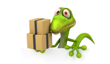 Delivery Information Marp Centre