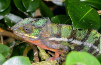 Stock lists updated at The Marp Centre