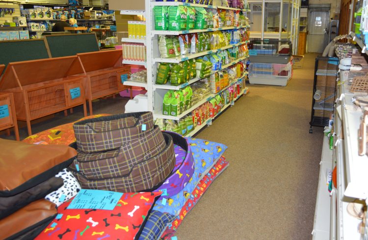 Valuable Aquatic Pet Store Nashville Photography